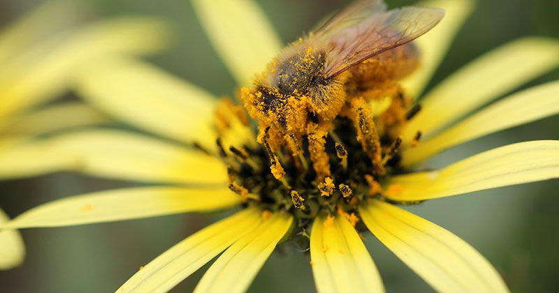 Leitbild klimafreundliche Stiftung